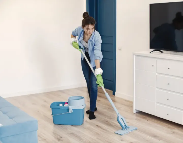 Femme de ménage Rimplas
